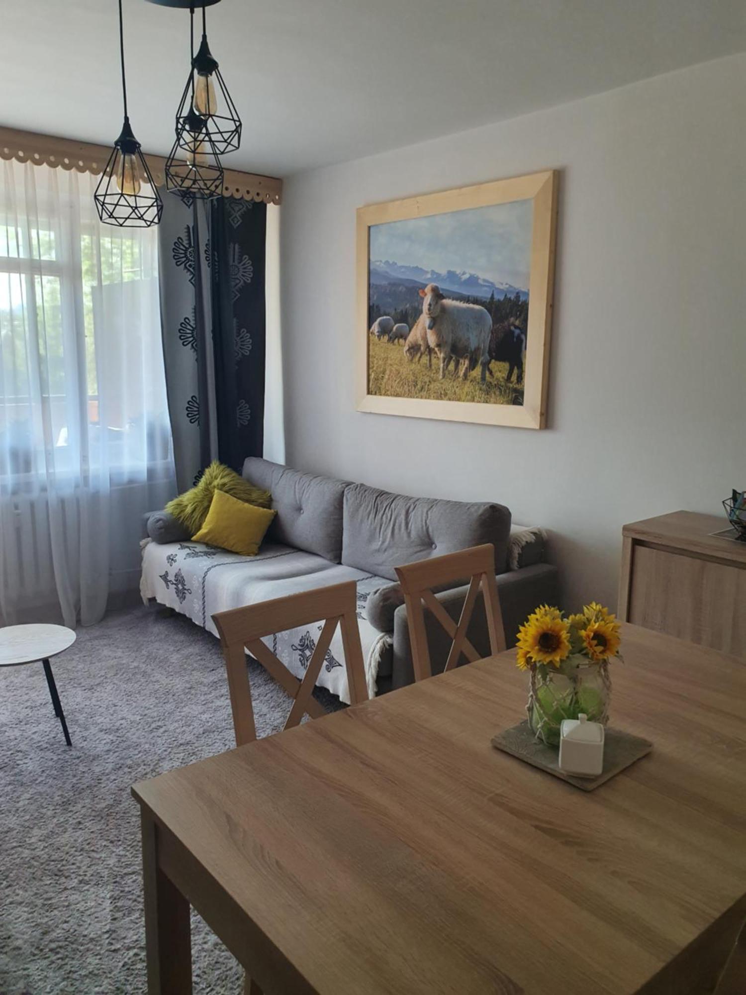 זקופאנה Apartament Regionalny Centrum חדר תמונה